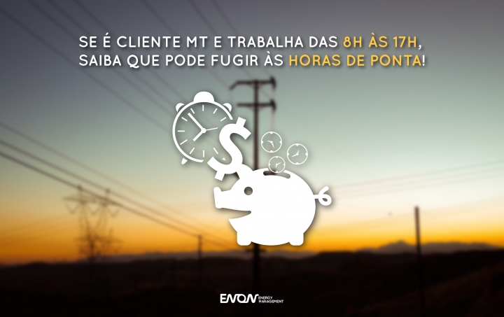 Como fugir &agrave;s horas de ponta!